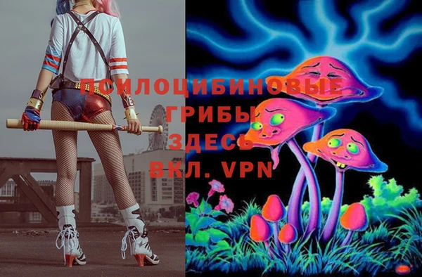 хмурый Белокуриха