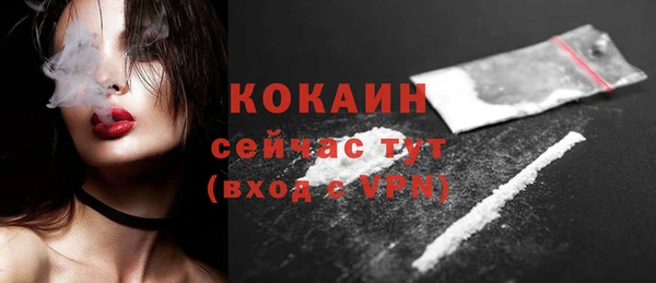 Альфа ПВП Бородино