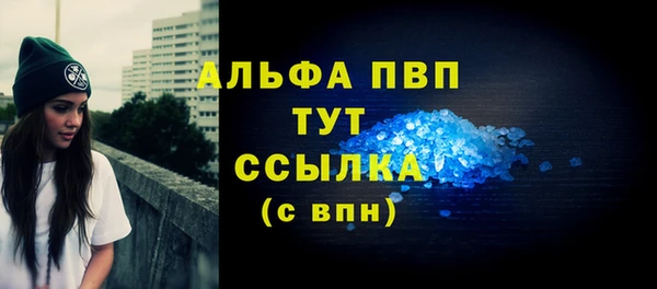 хмурый Белокуриха