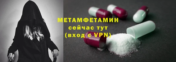 хмурый Белокуриха