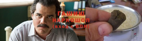 хмурый Белокуриха