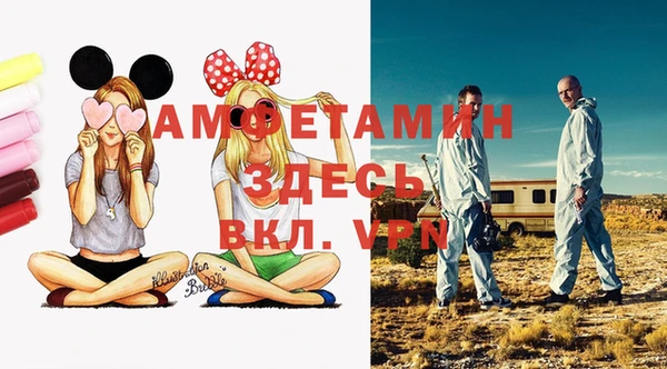 хмурый Белокуриха