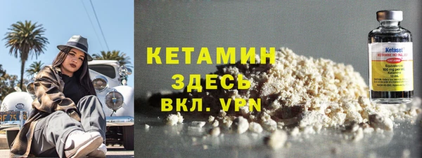 хмурый Белокуриха